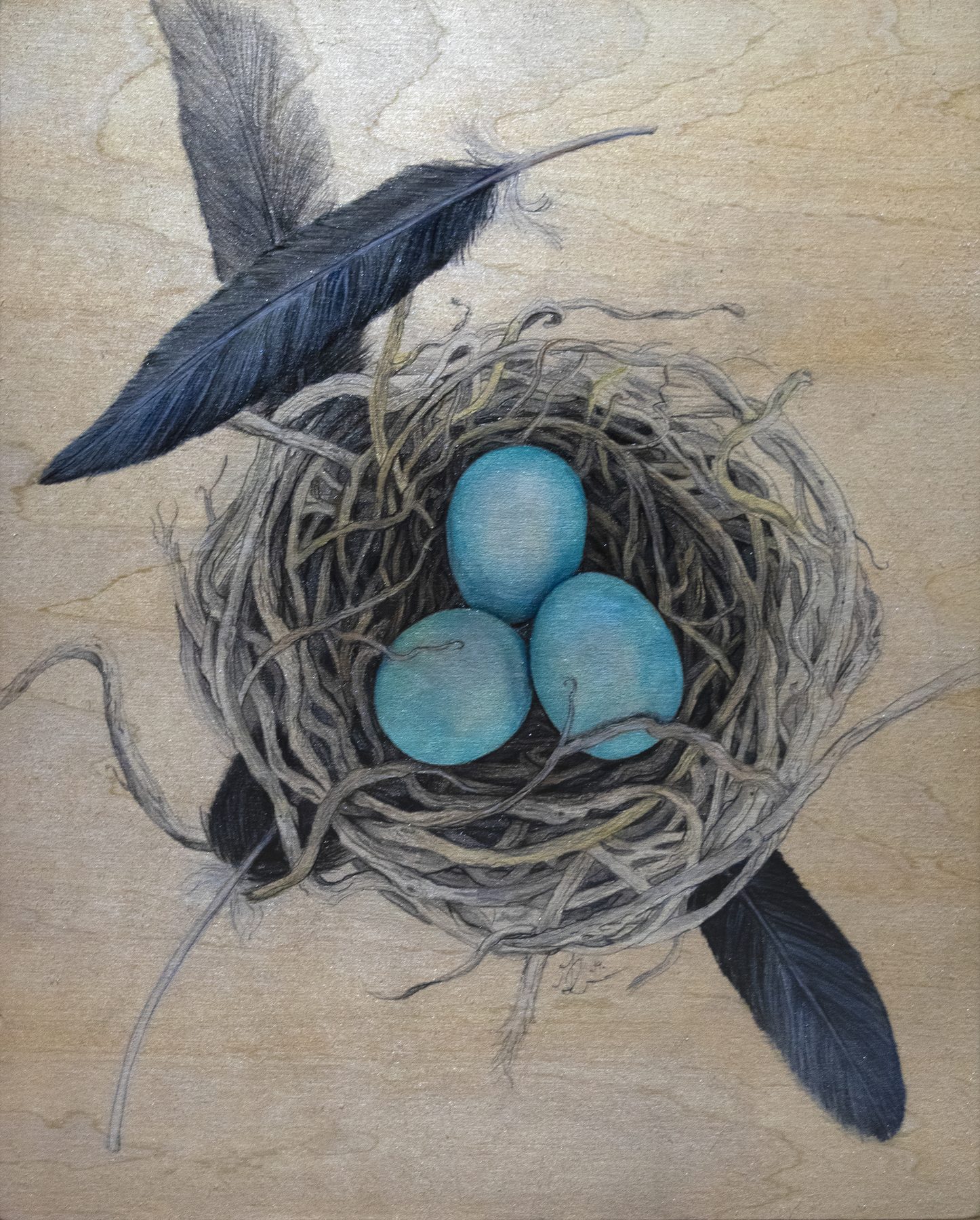 Blue Heron Nest