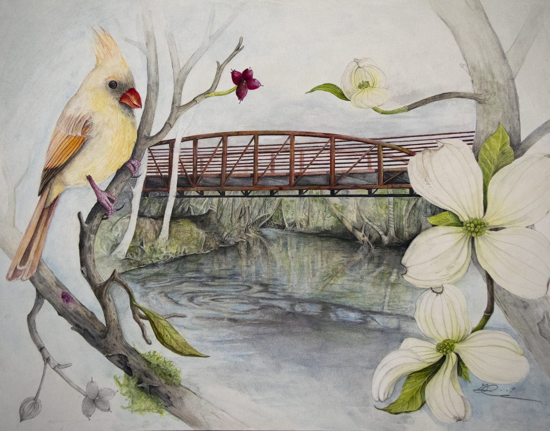 Hay's Mill Bridge (Laura's Park)