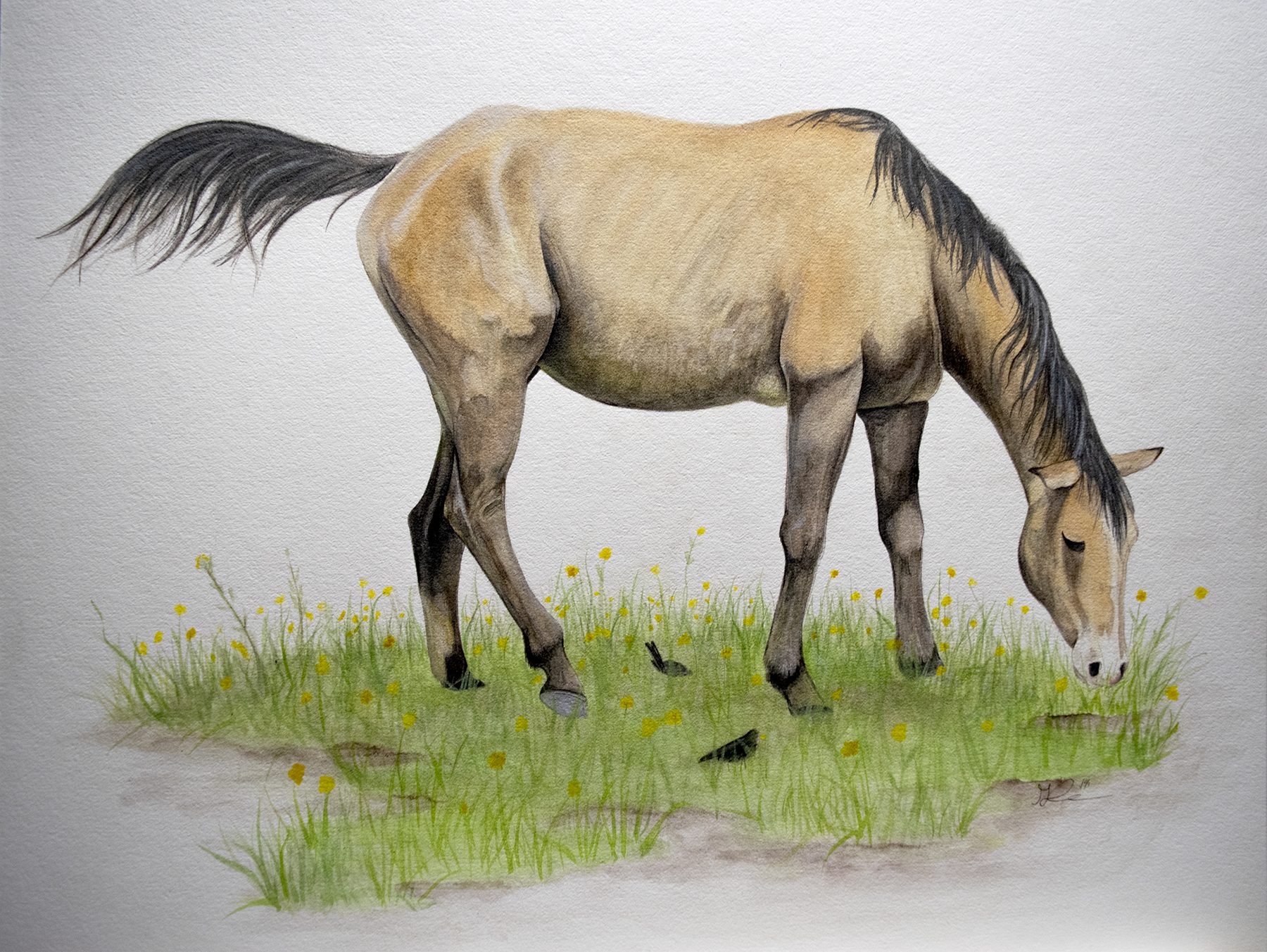 Springtime Mare