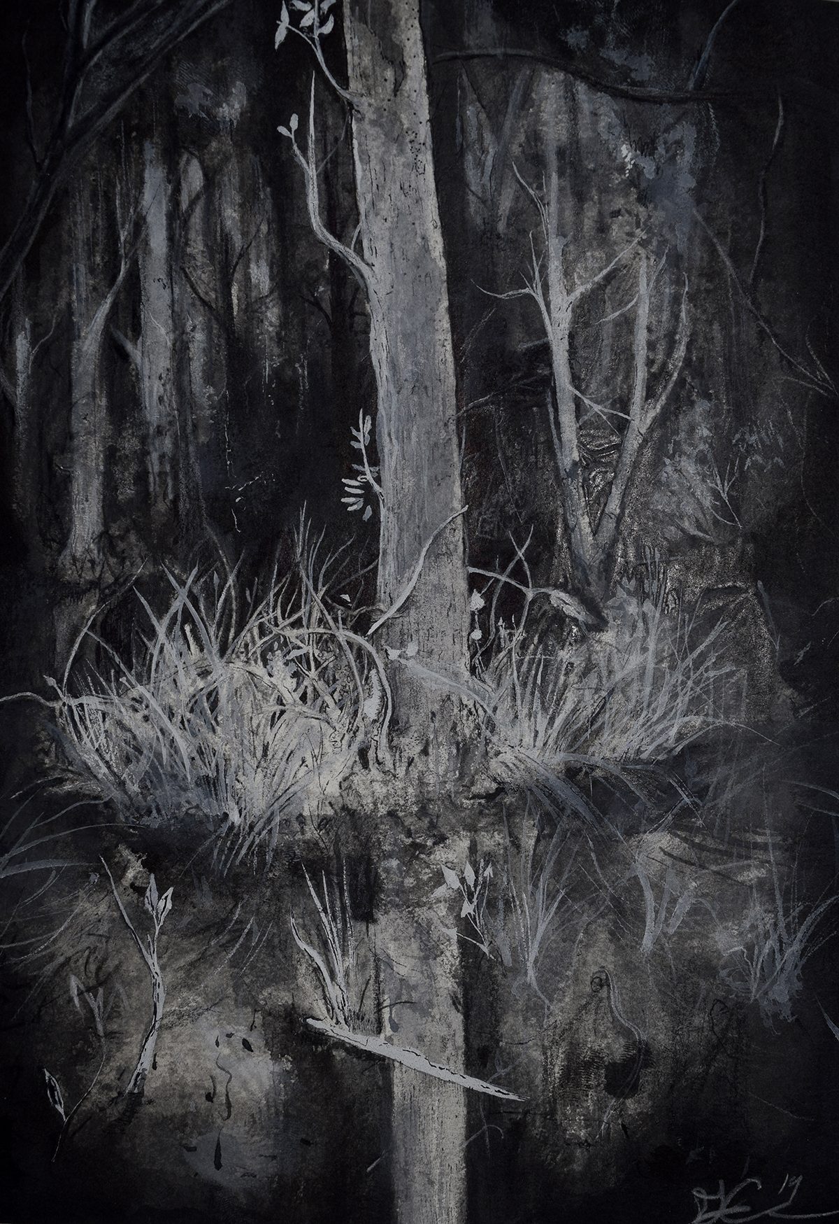 Wetlands at Dark